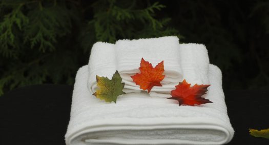 canada reflexology canada reflexology