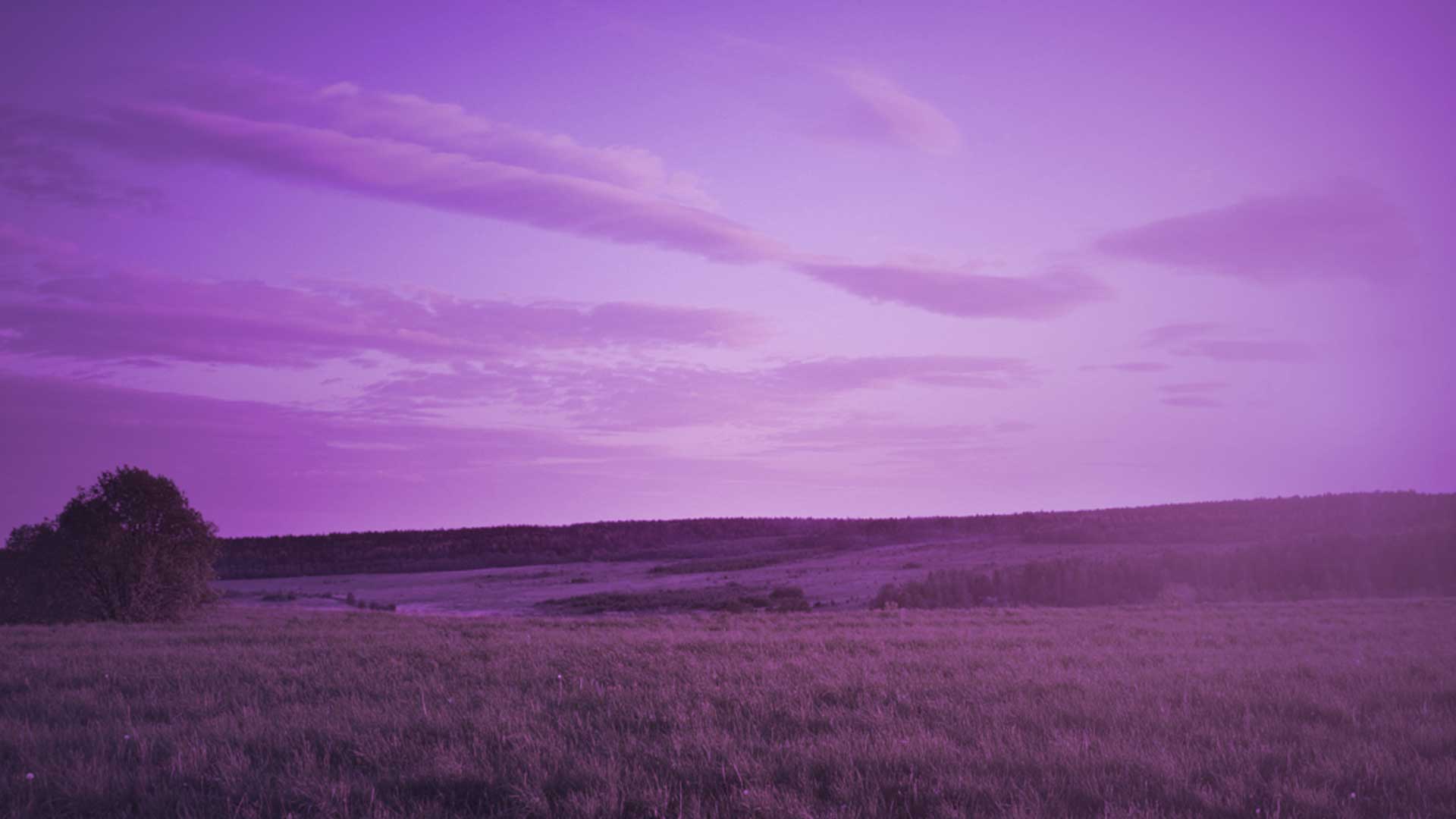 saskatchewan-reflexology