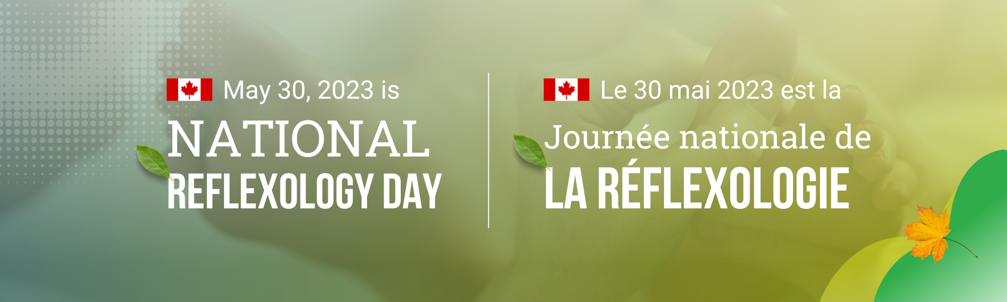 linkedin cover-national reflexology day