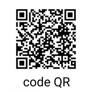 2025 CODE QR
