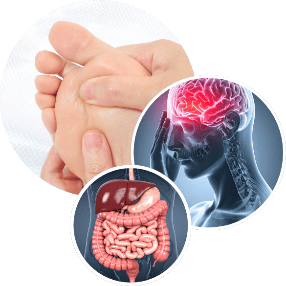 Gut and Brain Health