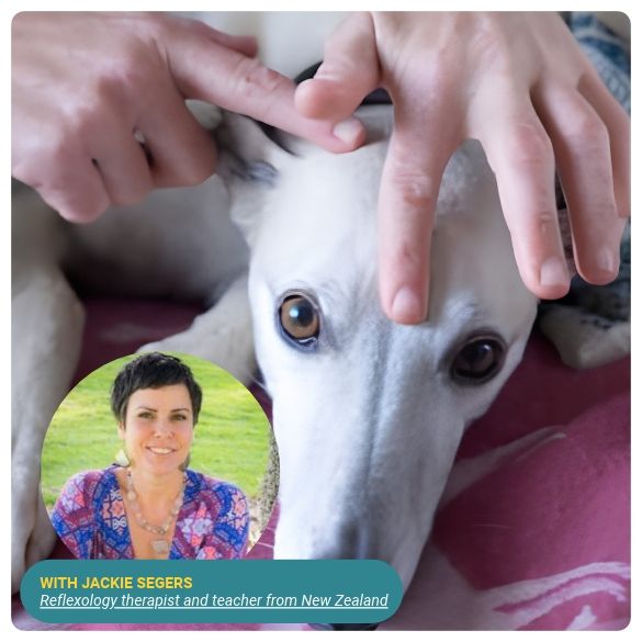 An introduction to Animal Reflexology An introduction to Animal Reflexology