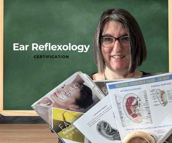 Ear Reflexology - October only